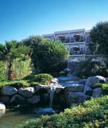 Palm Tree Court