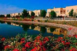 The Springs