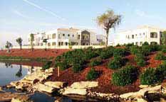 Lime Tree Valley